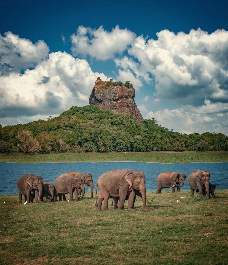 Sigiriya Rock